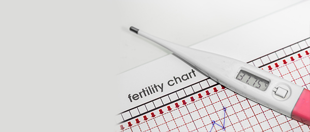 Pregnancy - Ovulation - Basal Body Temperature